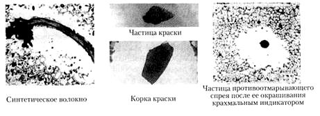 Примеры посторонних частиц на картоне